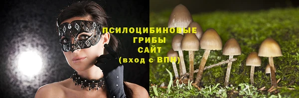 меф Осташков