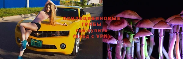 стафф Аркадак