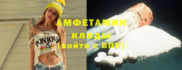 гидра Грязовец