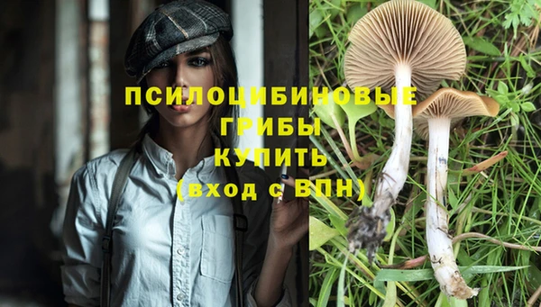 трава Алзамай