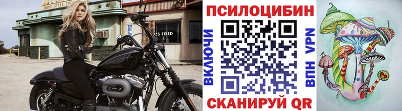 Псилоцибиновые грибы Cubensis Купить где Верещагино